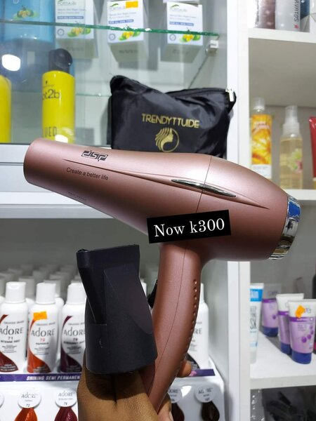 Hair blower