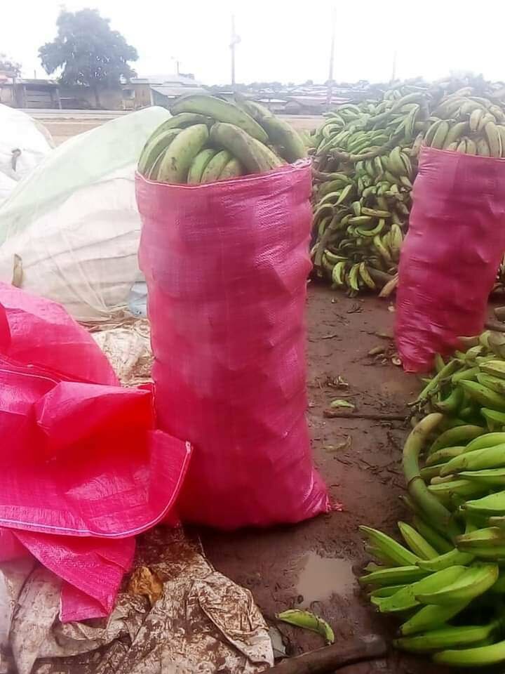 Sac de 70kg de bananes