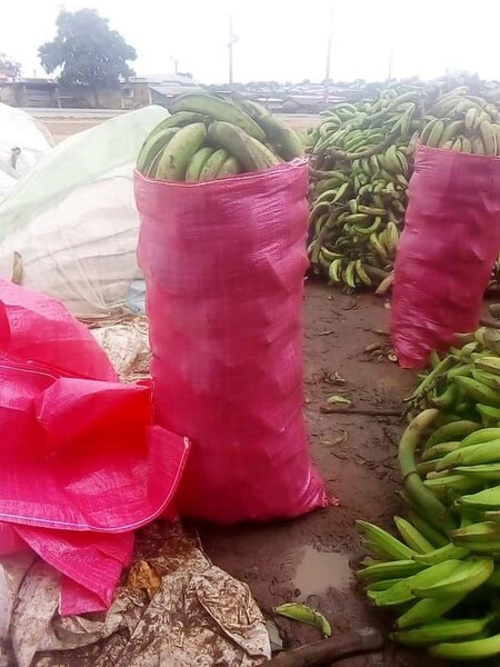 Sac de 70kg de bananes