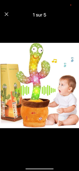 Cactus