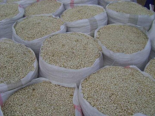 White maize