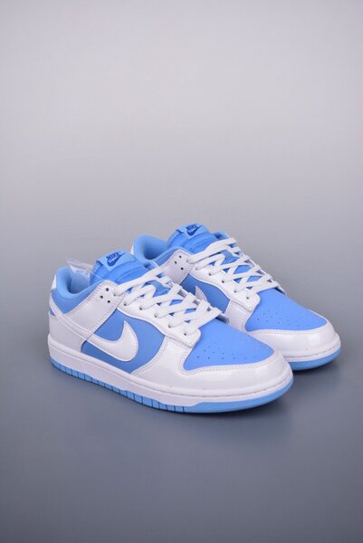 Nike SBs