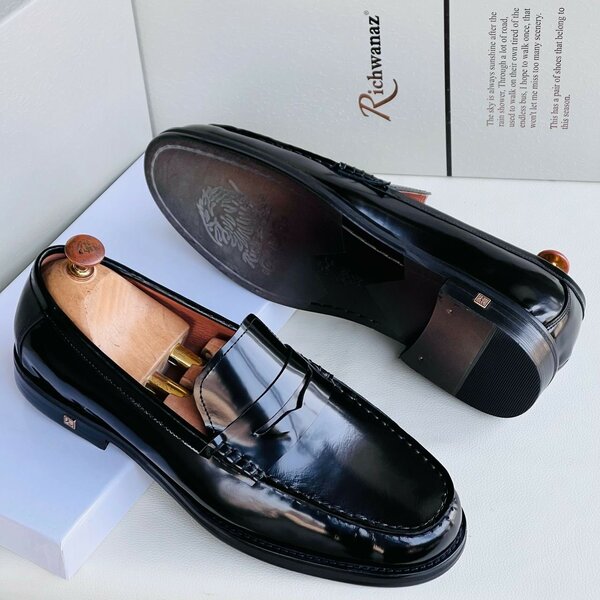 Mens Easy wear shoe