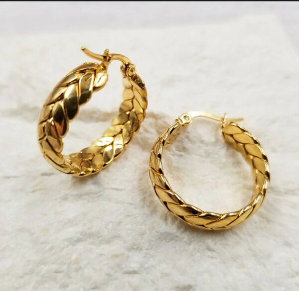 Ladies earrings