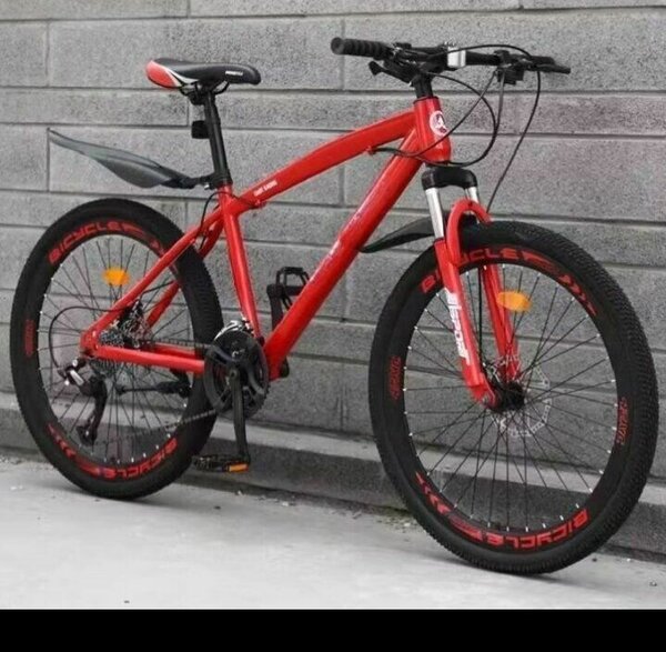 Vélo de montagne robuste