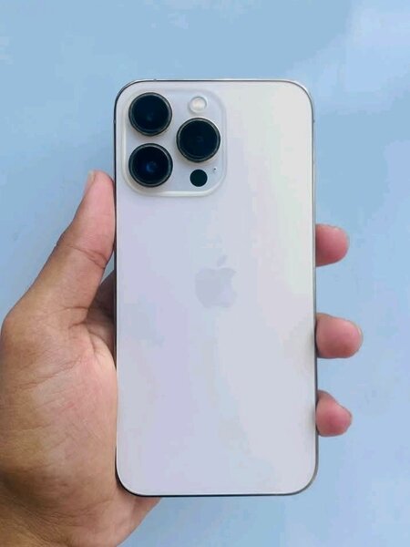 iPhone 13 Pro Max 256GB