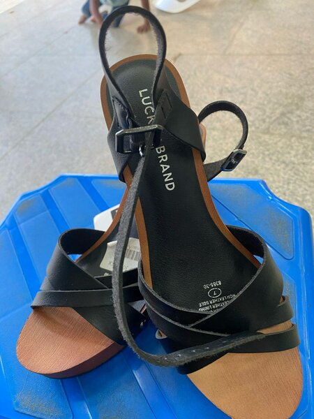 Talons