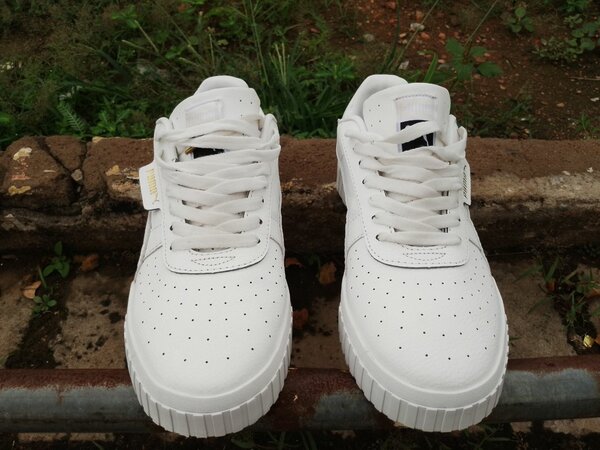 Puma canvas