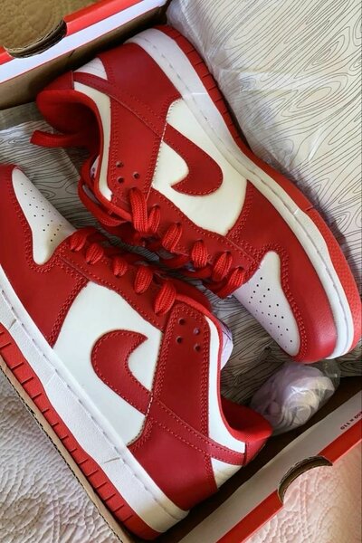 NIKE SB