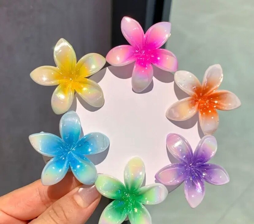 Pinces à cheveux
