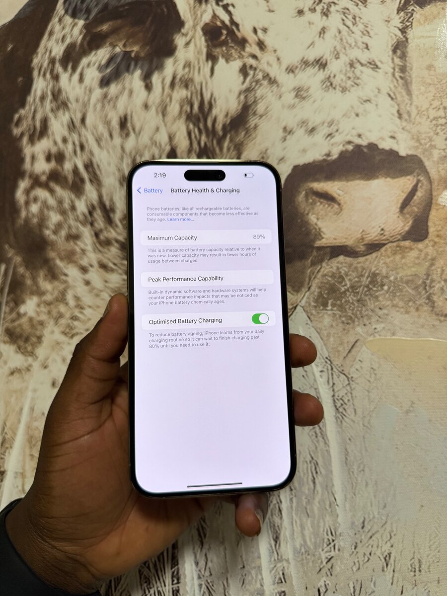 iPhone 14pro max