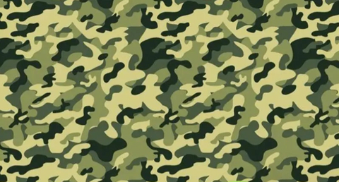 Papier Peint vert adhésifs