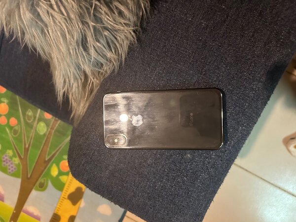 IPhone X