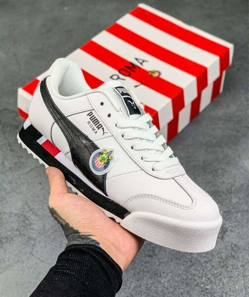 Puma roma