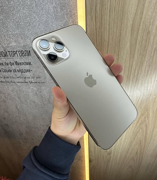 IPHONE 12 PRO MAX