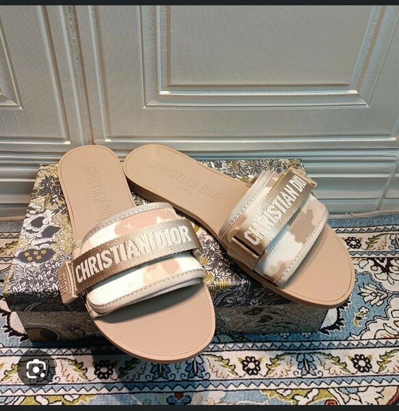 Cute CD slipper