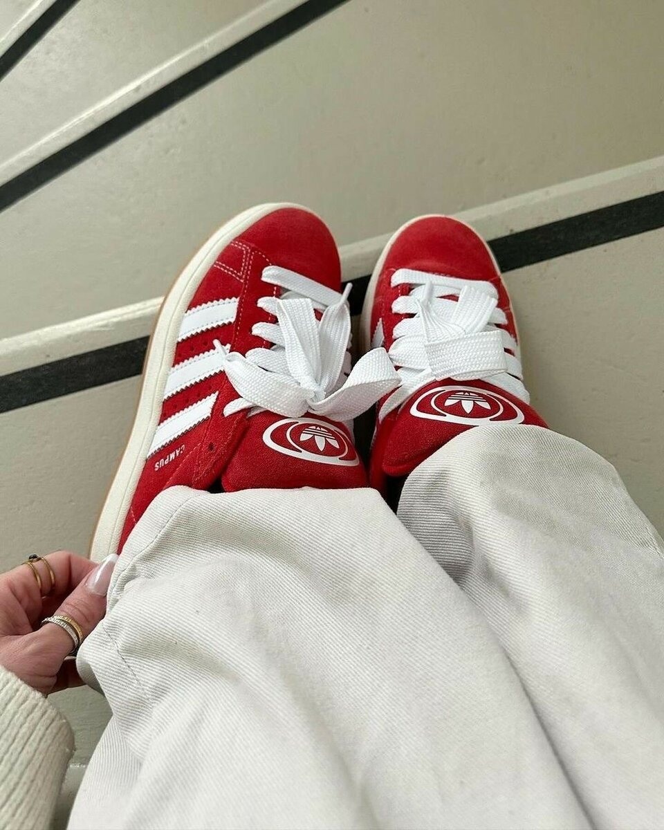 Chaussure Adidas campus