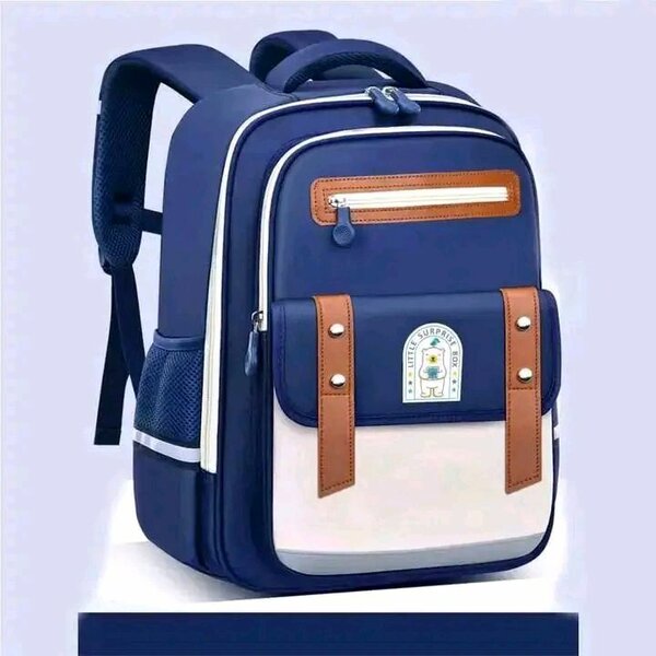 Sacs au dos