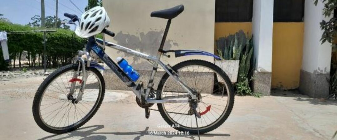 Mountain bike