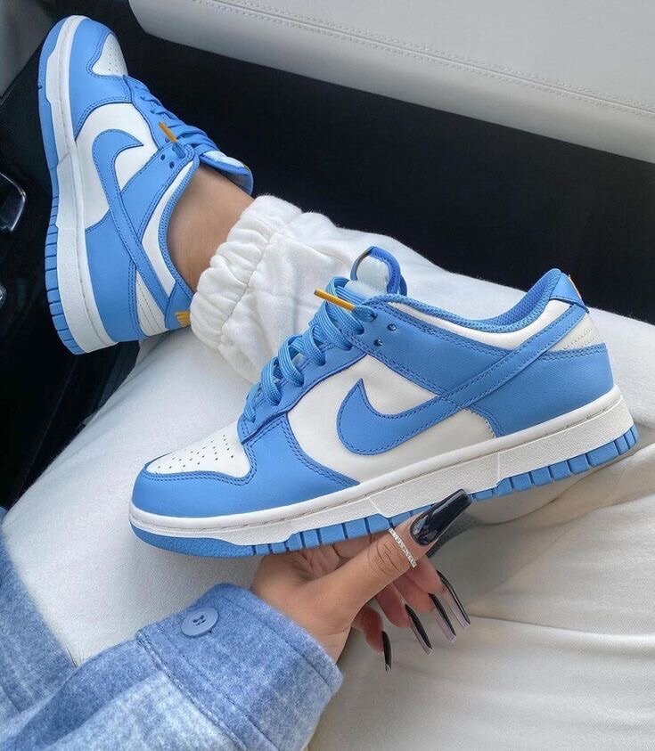 NIKE SB(LOW DUNKS)