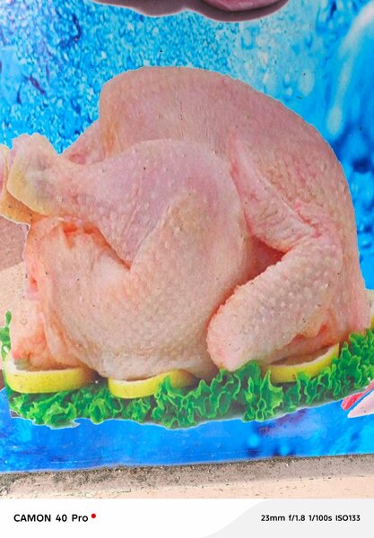 Poulet entier frais