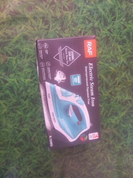 Electric Steam Iron