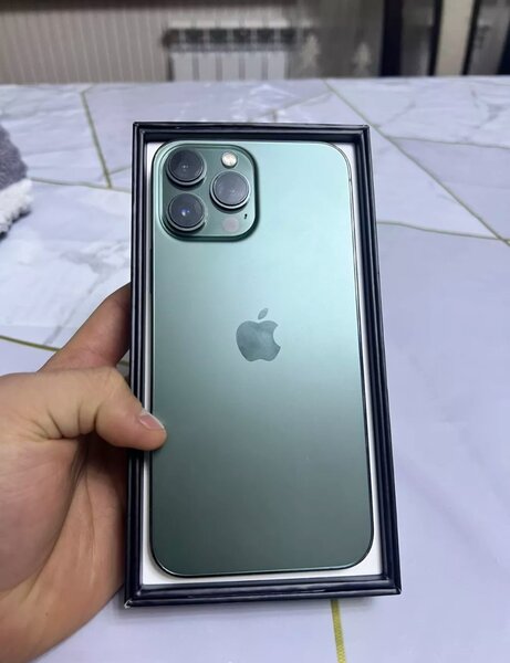 iPhone 13 pro