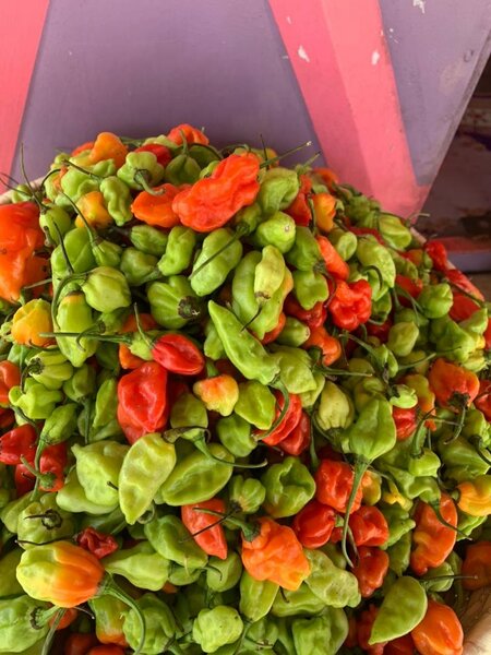Légumes