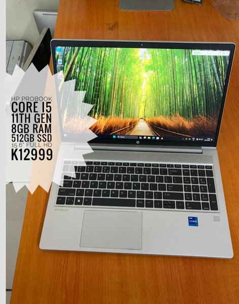 HP PROBOOK CORE 15