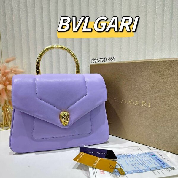 Luxury ladies hand bag