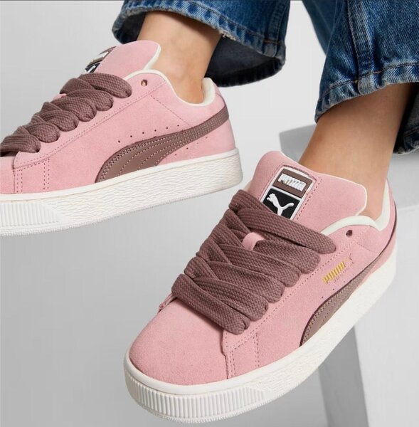 Puma puma