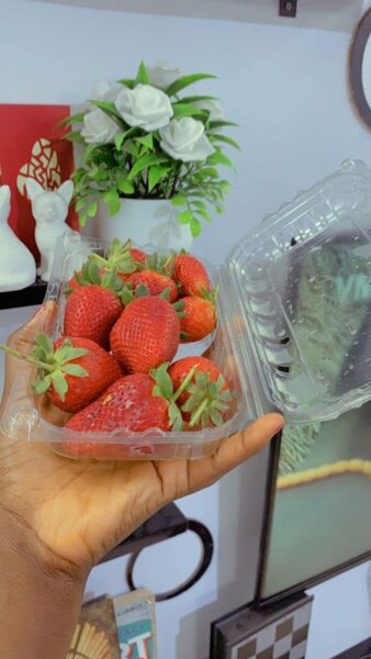Fraises