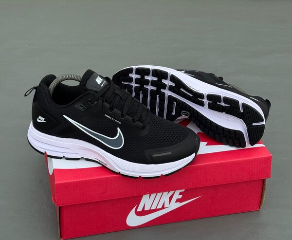 Nike Chaussures de Course Homme