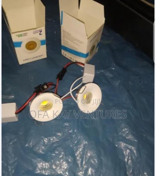 COB Light 1W white
