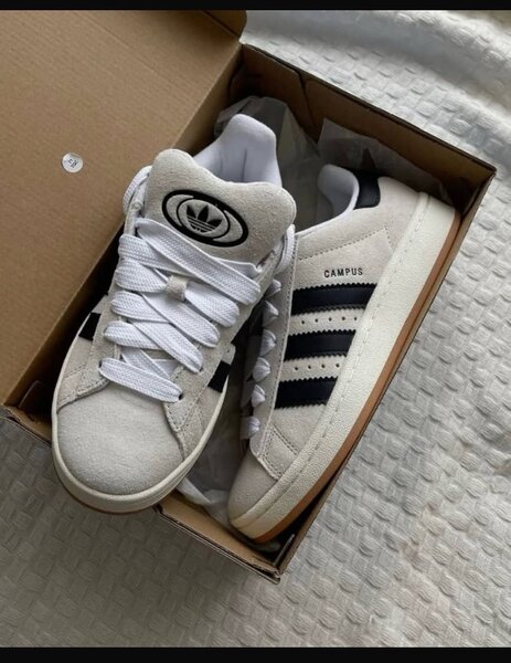 Adidas campus