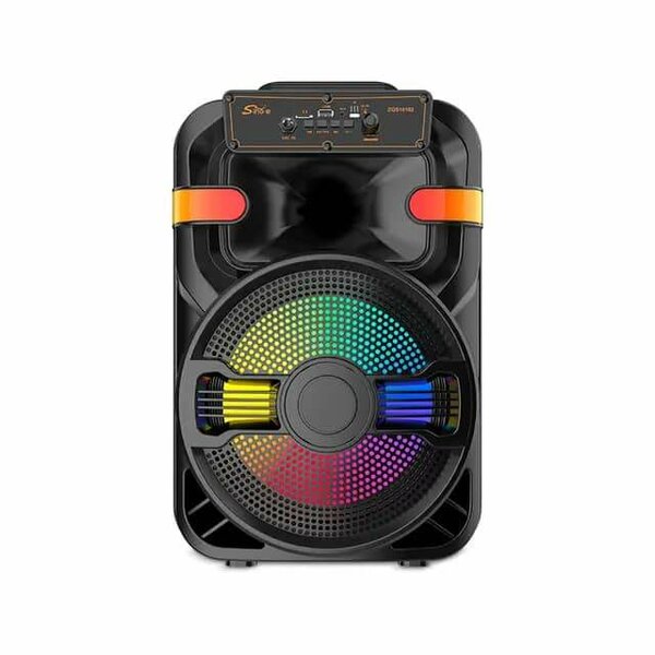 Haut-parleur Bluetooth portable sans fil pour karaoké audio