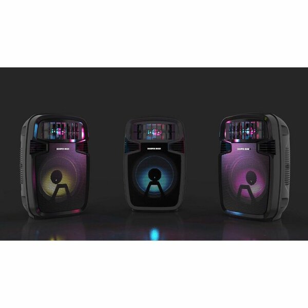 Haut parleur bluetooth portable sans fil pour karaoké audio