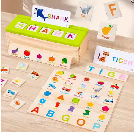 Knowledge Classification Box / 3yrs+
