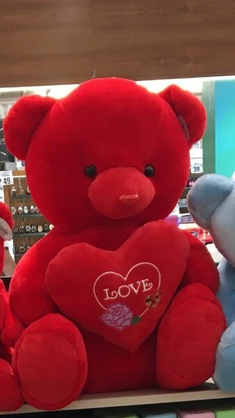 Teddy bear