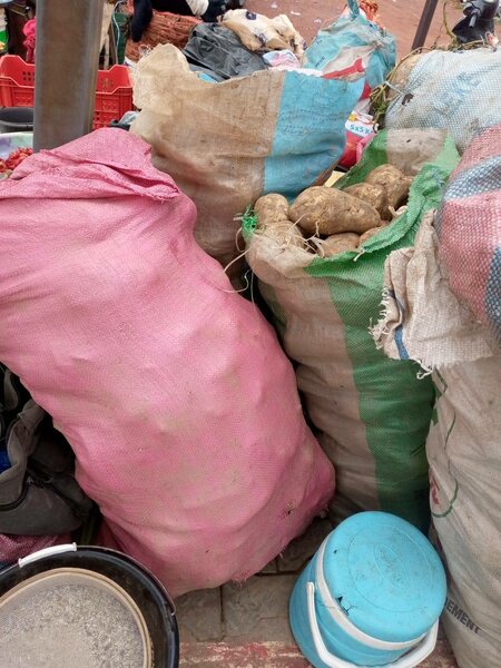 Sacs de Légumes Résistants