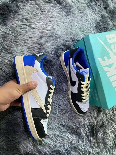Nike Jordan SB