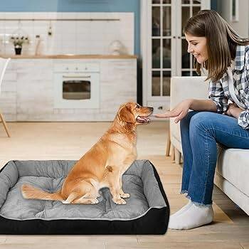 Lit douillet pour chien