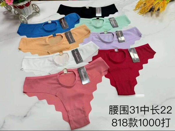 Bel ensemble de culottes pour femmes, multicolore