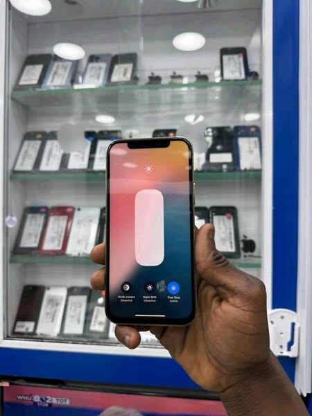 iPhone 12 Pro Max débloqué