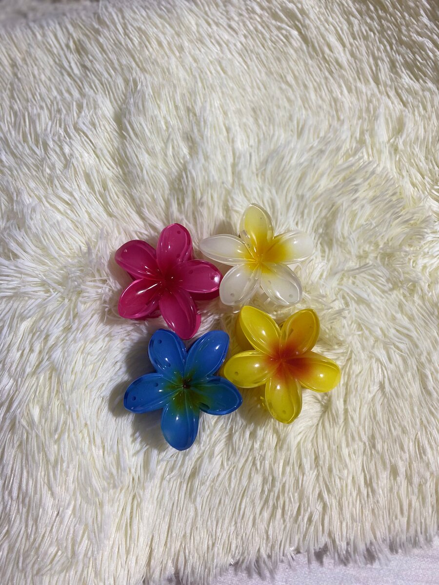 Pinces à cheveux fleurs colorées