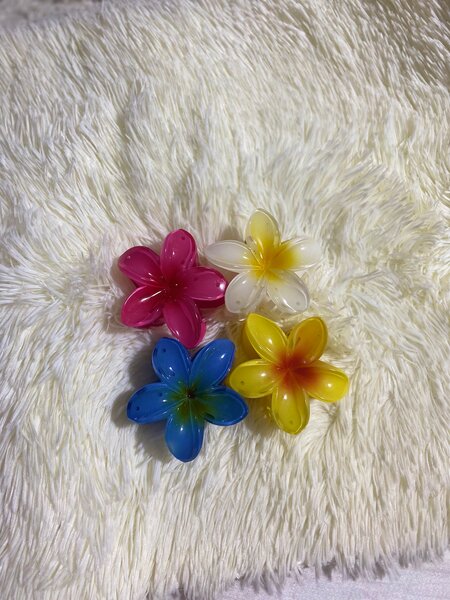 Pinces à cheveux fleurs colorées