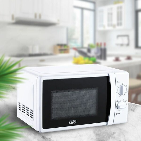 Winning Star 20L Microwave