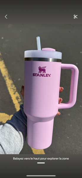 Gourde Stanley