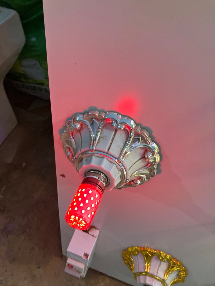 Design bulbs