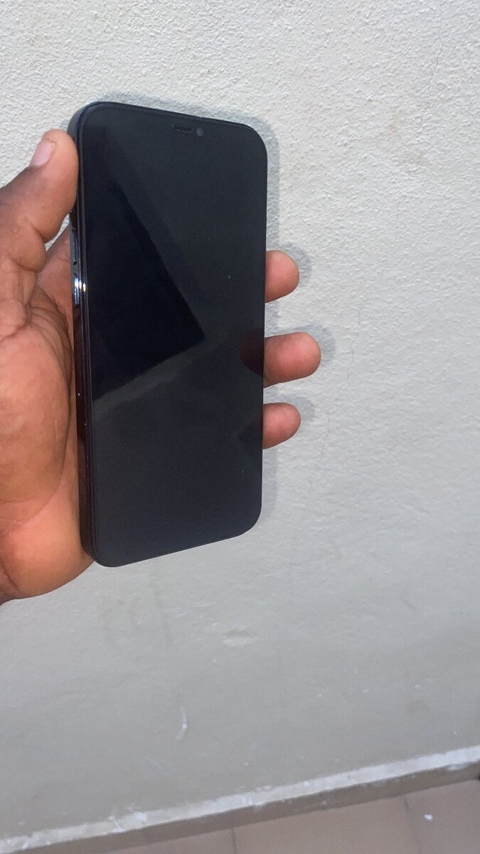 iPhone 12pro max